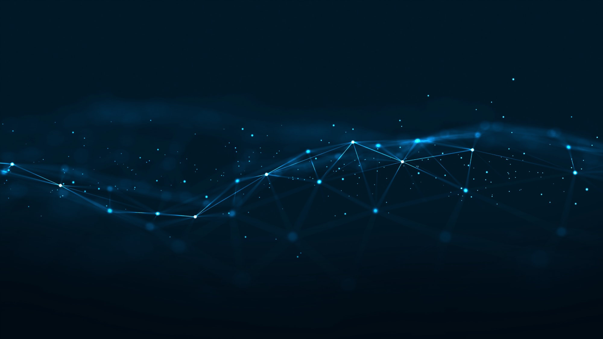 network lines undulating in blank space